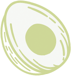 Makhana