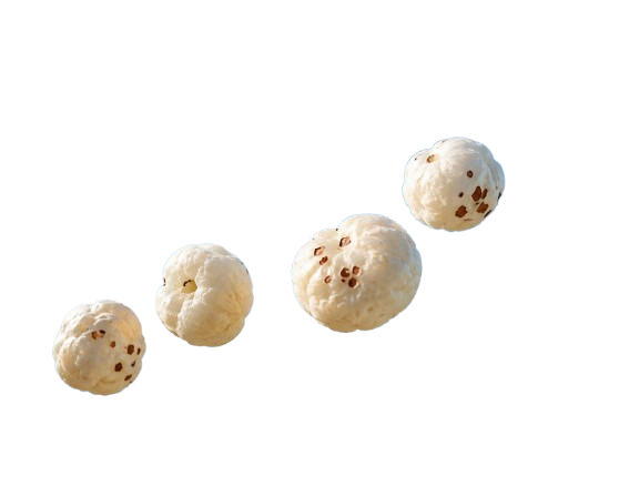 Makhana